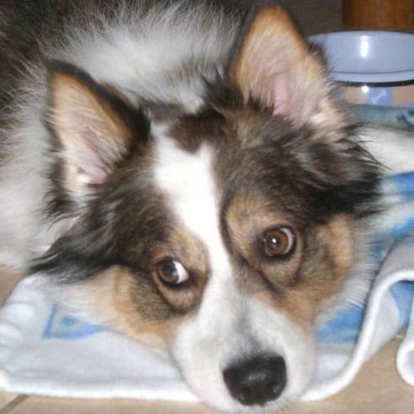 Meet your Posher, Lisa - Picture 2 of 3